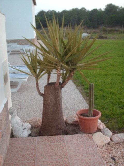 בית הארחה רוז'יל 	Quinta Da Bunheira מראה חיצוני תמונה