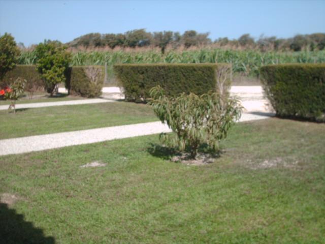 בית הארחה רוז'יל 	Quinta Da Bunheira מראה חיצוני תמונה