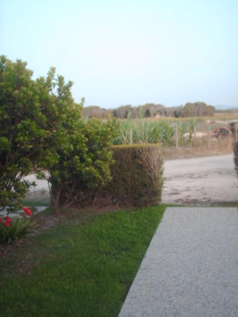 בית הארחה רוז'יל 	Quinta Da Bunheira מראה חיצוני תמונה